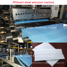 Feuille de mousse de pp / machine de fabrication de plat